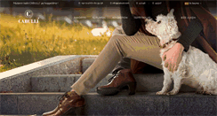 Desktop Screenshot of cabulli.com